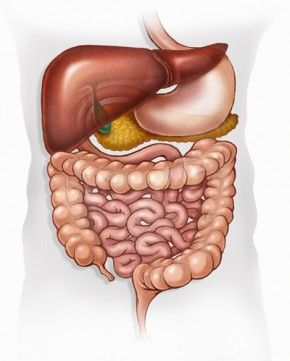 BethCrace's tweet photo. What's a #healthy bowel movement? https://t.co/ge4iWGKKR6 https://t.co/v4bt5l1jyb