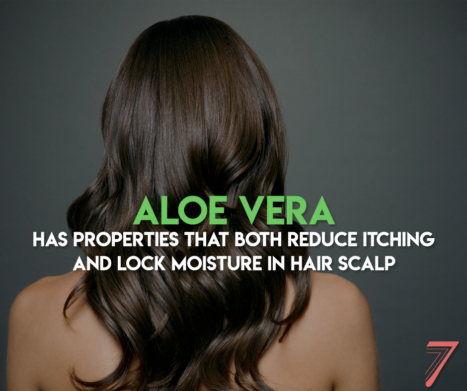Have you tried Aloe Vera for your hair?☺️

#haircare #beautifulhair #aloevera #naturalremedy