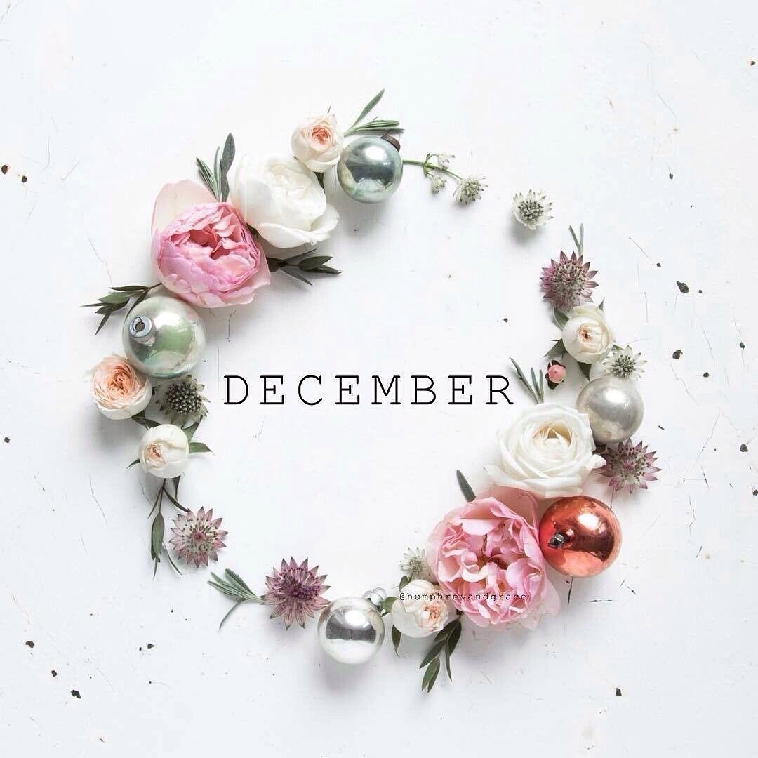 Brava_Boutique's tweet photo. 🌸 Bonjour Décembre 🌸 Lets start #december with #lovely #christmas gifting 🎁Come visit us at @brava_boutique and make a #loved one #happy 🎀 https://t.co/2hqr8yPz5h