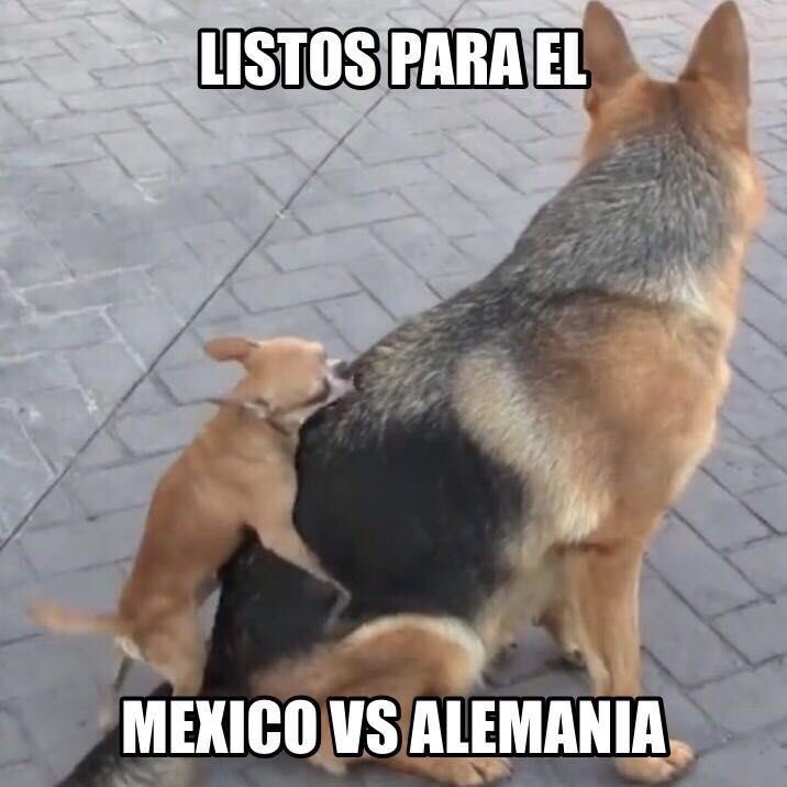 DonCruzM's tweet photo. Calma raza @miseleccionmx está lista para enfrentar esto y más!! https://t.co/KCDLbipc3X
