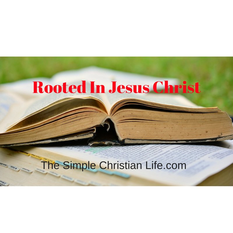 Rooted In Jesus Christ @ thesimplechristianlife.com/0q5j  #1YearBibleReading #Colossians