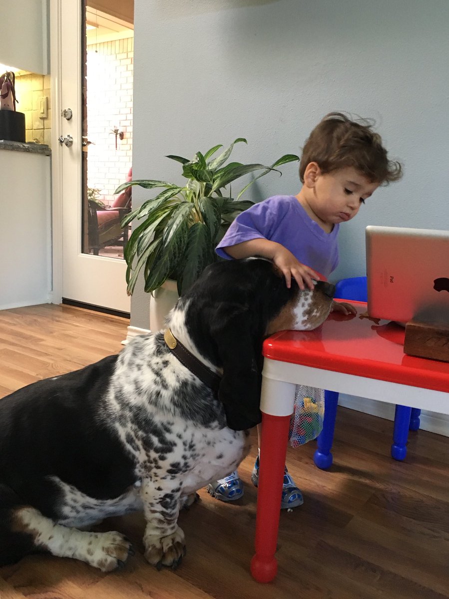 Aspentree58's tweet photo. Grandson, Solomon and Moose #bestfriends #owwow ๐ https://t.co/JWJuHg6tYP