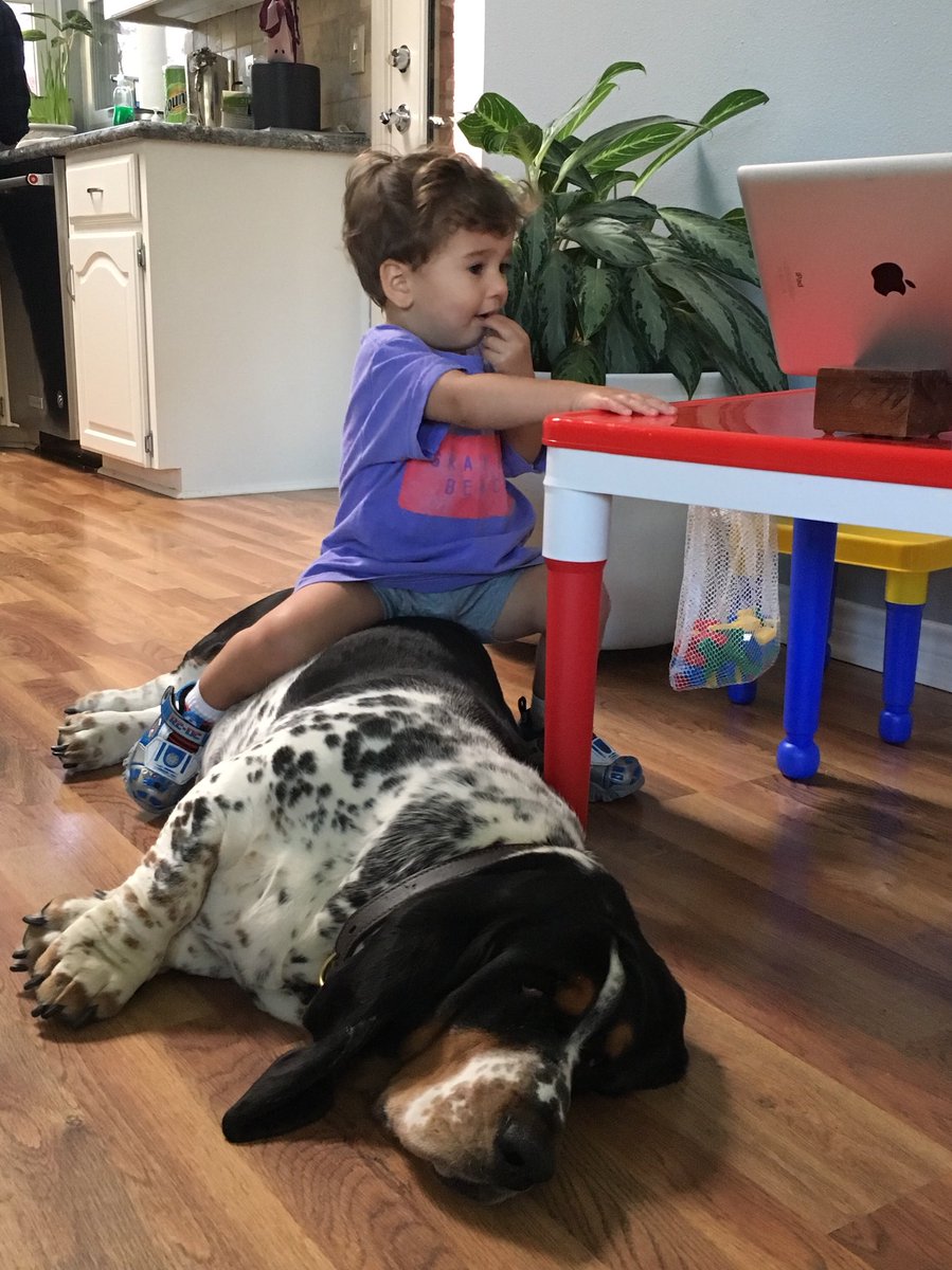 Aspentree58's tweet photo. Grandson, Solomon and Moose #bestfriends #owwow ๐ https://t.co/JWJuHg6tYP