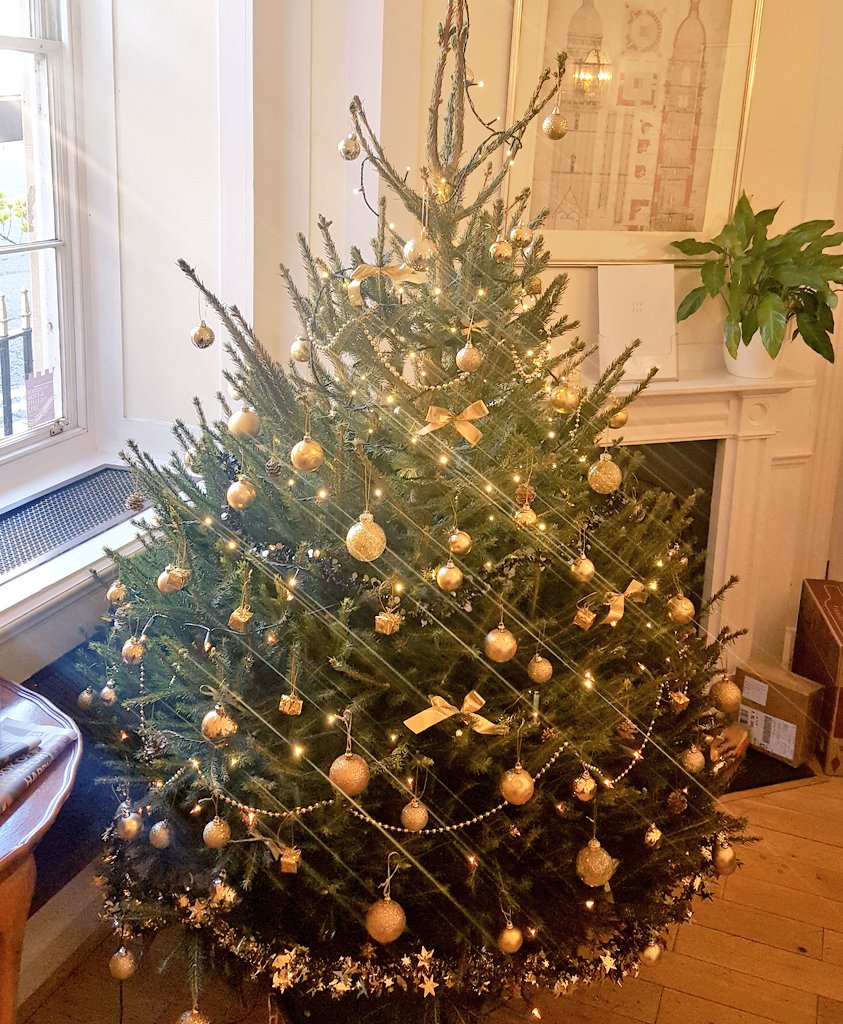 inigowindsor's tweet photo. The prettiest #christmas tree in town can be found at #Inigo! 🎄🎄 #sparkle #servicedoffice #windsor https://t.co/Ot4Ec2GxAJ