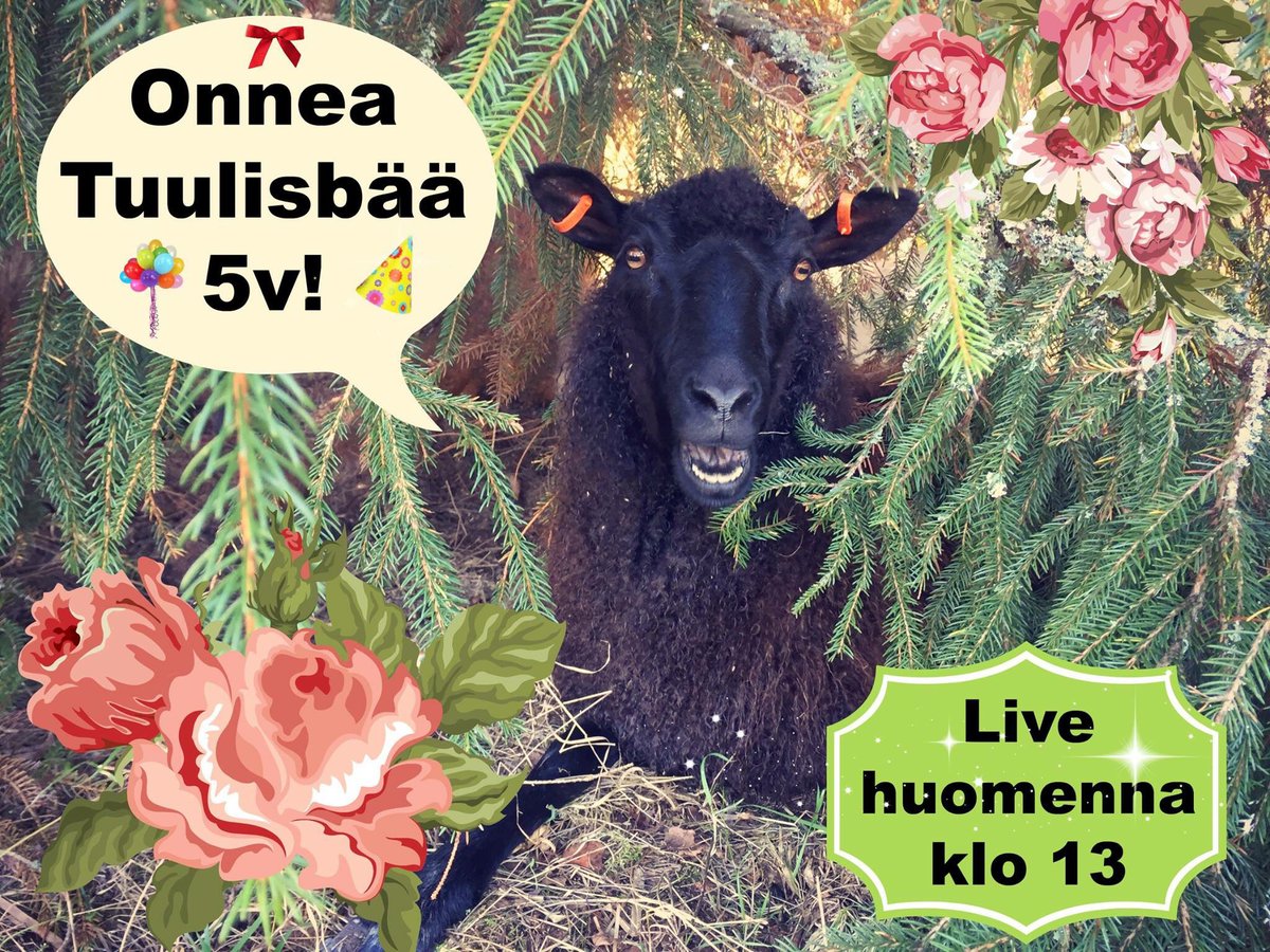 Esk_Tuulispaa's tweet photo. Tuulispää täyttää tänään 5 vuotta 🎂🎉. Synttäreitä juhlitaan huomenna lauantaina Facebookin livelähetyksen merkeissä klo 13. Nähdään silloin! https://t.co/3b4i5TUdXX