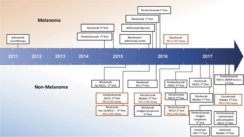 Aiims1742's tweet photo. #Pathologists Must read review on the tumor immune microenvironment for staging &amp; therapeutics 
By two of my favorite @JHUPath faculty stars Ashley Cimino-Mathews &amp; Janis Taube
https://t.co/HGLh1dZXQb
Someday immune parameter assessment will be part of TNM classification https://t.co/CkZPZHHYlL
