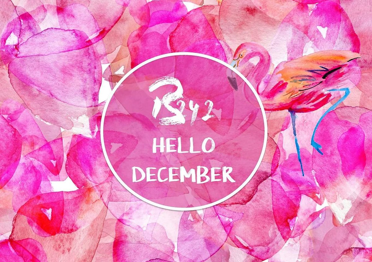pinksands242's tweet photo. It's the start of the most magical month of the year! ❤️🎄❤️🎄 #HelloDecember
#stayandwander #wanderlust #bahamas #nassau #bahamastravel #decembervibes #decemberadventures #christmasmoves #goodvibes #namaste #goodpeople #magicseason #christmasmagic #decemberjoy https://t.co/7wQJHJOSHT