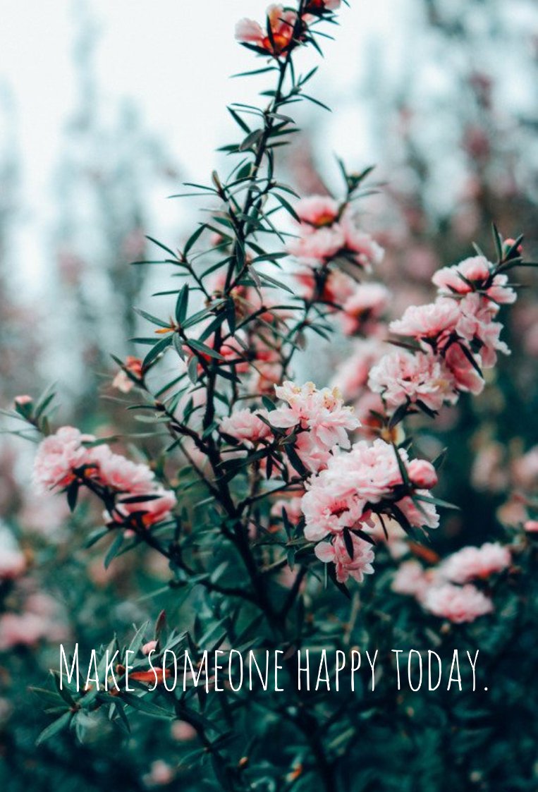LancerSpeakLife's tweet photo. Who will you make happy today? #lancerspeaklife https://t.co/Stwdw640Hb