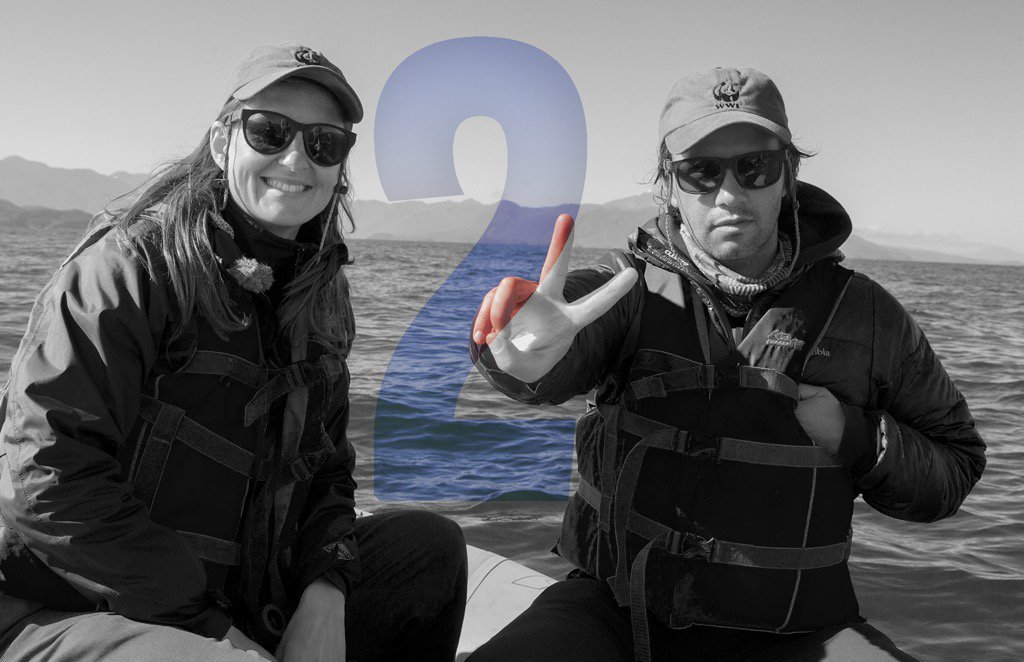 WildChileTV's tweet photo. ¿2?

@CNTVChile @chilevision https://t.co/NqvyOkt6Ga