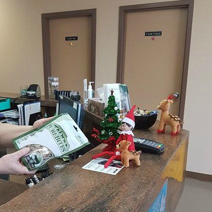 cypressviewvet's tweet photo. Zippy is buying some treats for Tinsel! Tinsel loves Purebite treats! #elfontheshelf #vetelf https://t.co/gYiPgZt9sc