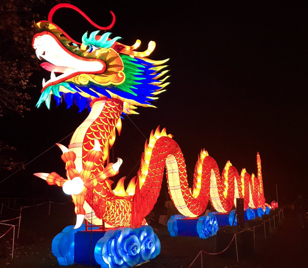 SQrougharts's tweet photo. Get yourselves down to @EdinburghZoo pronto for this! Spectacular! #giantlanterns https://t.co/z3ecXGlkNT