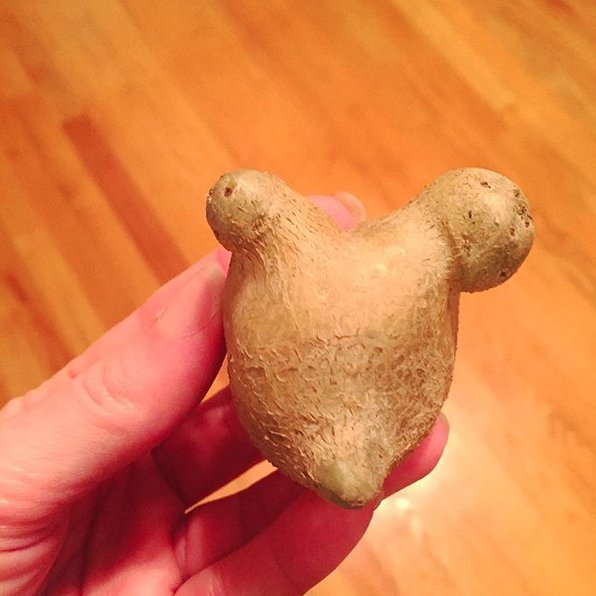 Anna Durrett tweet media