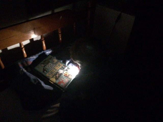 WBurghPrimary's tweet photo. Gordon taking part in his #BookDares Brilliant effort Gordon #WillybugsRead #BookWeekScot Read a book by torchlight and making a comic book https://t.co/yfuSTbMJbC