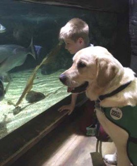 Cars4Autism's tweet photo. “This world we live in I find hard, I find everything hard, but Caddie keeps me calm and keeps me safe" https://t.co/0z98Bq0T6s  #MondayMotivation #autism https://t.co/AxhEoQIfU2