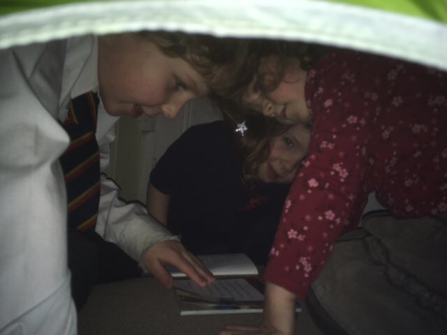 WBurghPrimary's tweet photo. Ali taking part in his #BookDares making a den which he shared with his siblings and reading with a younger sibling #BookWeekScot #WillybugsRead https://t.co/4DdWLxwr69