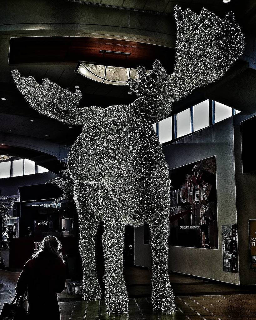 StencilMunky42's tweet photo. There is a giant Moose on display at Market Mall. .
.
.
#yyc #yycliving #sharecalgary #capturecalgary #CalgaryExposure #calgaryisbeautiful #instayyc #yycnow #captureyyc #marketmall #marketmallyyc #moose #christmasspirit #christmaslights #mall #captureyyc… https://t.co/GCQWUHOeLl https://t.co/OOpYdiLVyY