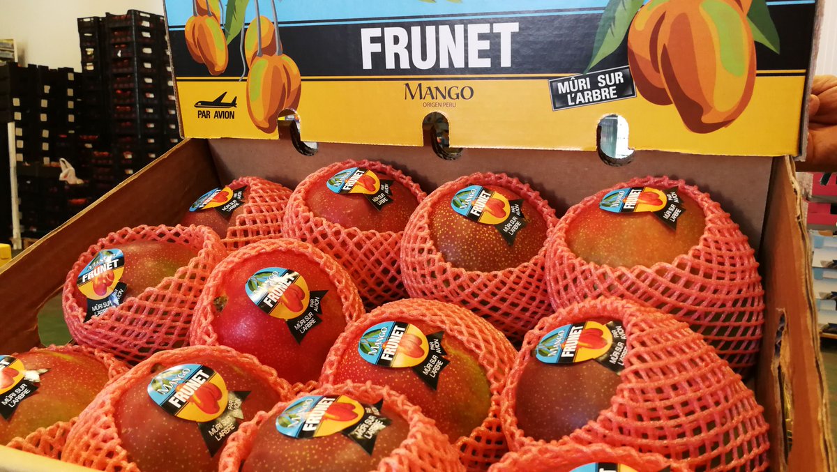 FrutasMora's tweet photo. #Mangos #Frunet son mangos con todo su sabor. ¿Por qué? Porque son recolectados una vez madurados en el árbol, cuando han alcanzado su máximo sabor.
¡Pregúntanos y saborea!
#Creciendojuntos
#FrutasMora @frunetoficial 
#frutasyverduras #Sevilla https://t.co/Yilgyv1w0X