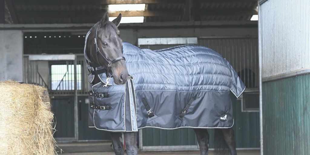 MastaRugs's tweet photo. We're excited to announce we now have a #StableRug version to the #Fieldmasta! With an additional memory foam section at the withers to relieve pressure & the clever dome neck it will be a worry free winter all round for your horse! https://t.co/o9fg7KSbiK https://t.co/Pd5HKwAyzq