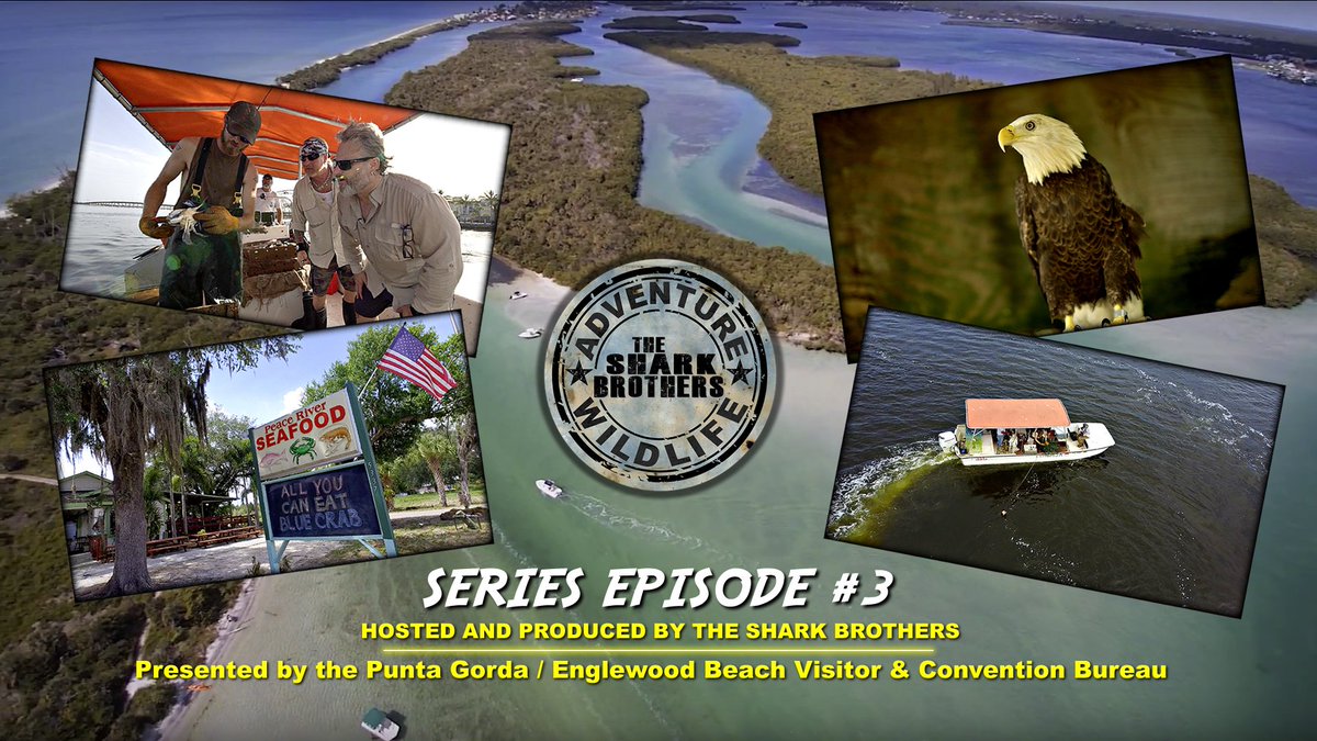 SharkBrosUSA's tweet photo. It's Friday and that means it's time to get wild with another episode of Adventure And Wildlife hosted by the Shark Brothers! Available now. Check it out and Share! https://t.co/usKfE7Z1BP
#AdventureAndWildlife #TheSharkBrothers #BestSideOutside #Ecologinomical #LoveFL https://t.co/EN6SgLQvPA
