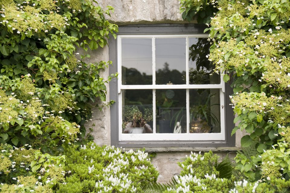ECoastWindows's tweet image. Double-Hung vs. Single-Hung Windows: Which One to Buy --&amp;gt; ow.ly/4Qcz30gXmq2

#windowselection
#doublehungwindows
#singlehungwindows