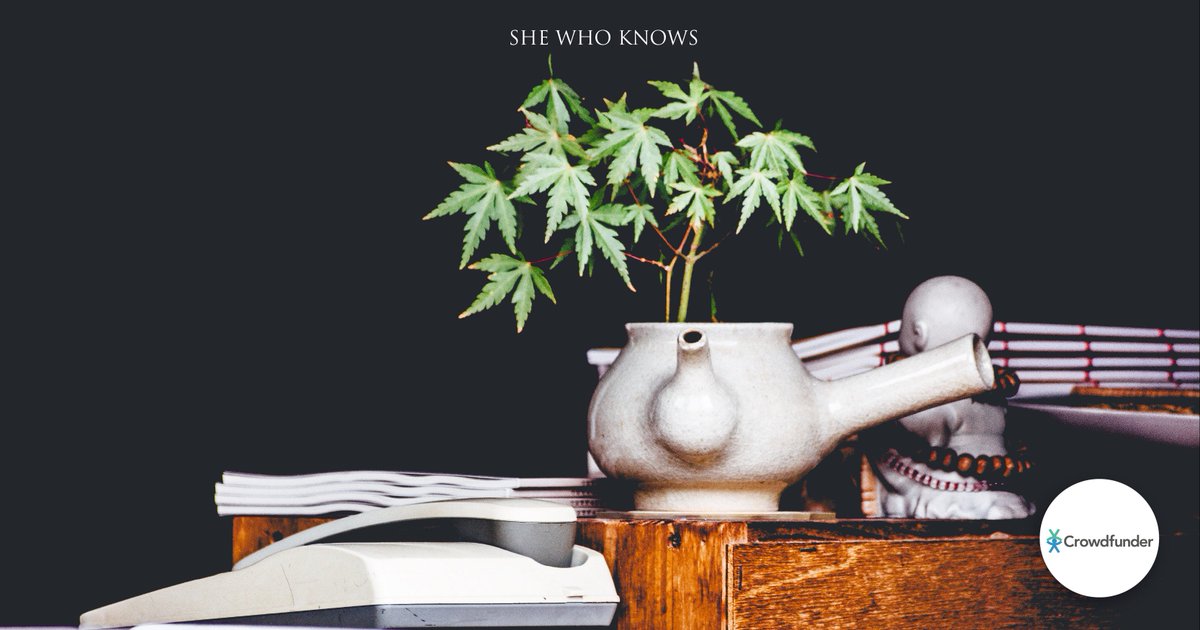 Have you ever tried #Acupunture? Did you know it can help you make the most of life by maximising your #health potential? 🌞

Grab your session if you can and support our crowdfunder 🙏🏻  #WeRiseByLiftingOthers crowdfunder.co.uk/shewhoknows