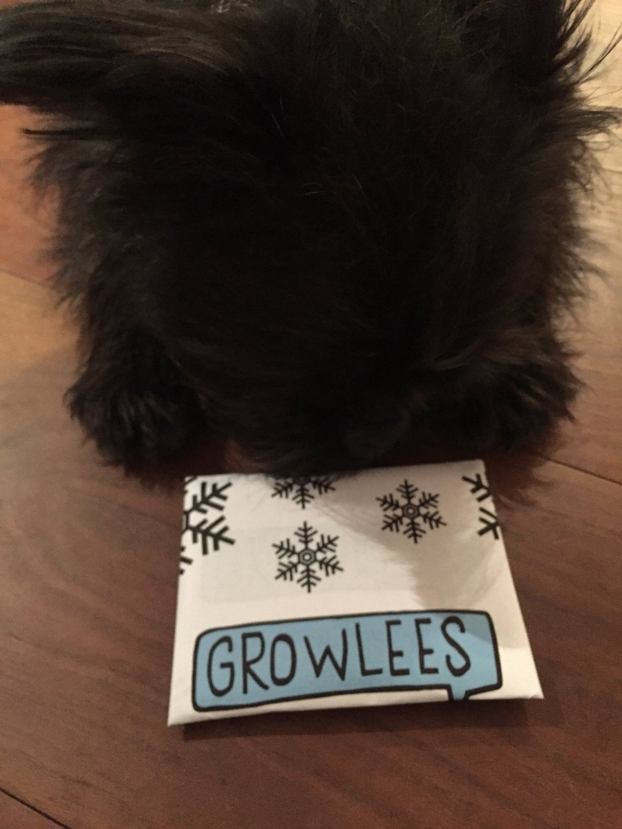 GrowleesDogTags's tweet photo. We are #kriskringle ready 4 #brunch @straightnpiano tomorrow with @AllDogsMatter @Canary_Woof @BarkingBlondes @Metro_Bank @london_link. Bring on eggs Benedict &amp; #santapaws https://t.co/lmnV6n9wlw