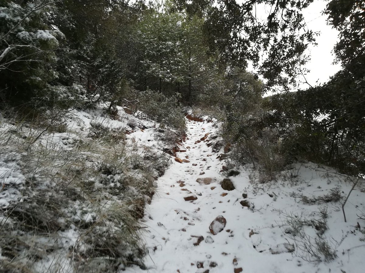 MarxaDelsRoures's tweet photo. Avui enfarinada de la bona a territori de #roures2018 @MarxaDelsRoures #rojals engalanat @LCUTrails @ajmontblanc @circuitcamptgn #cctgn https://t.co/Aqg6IvEOtZ