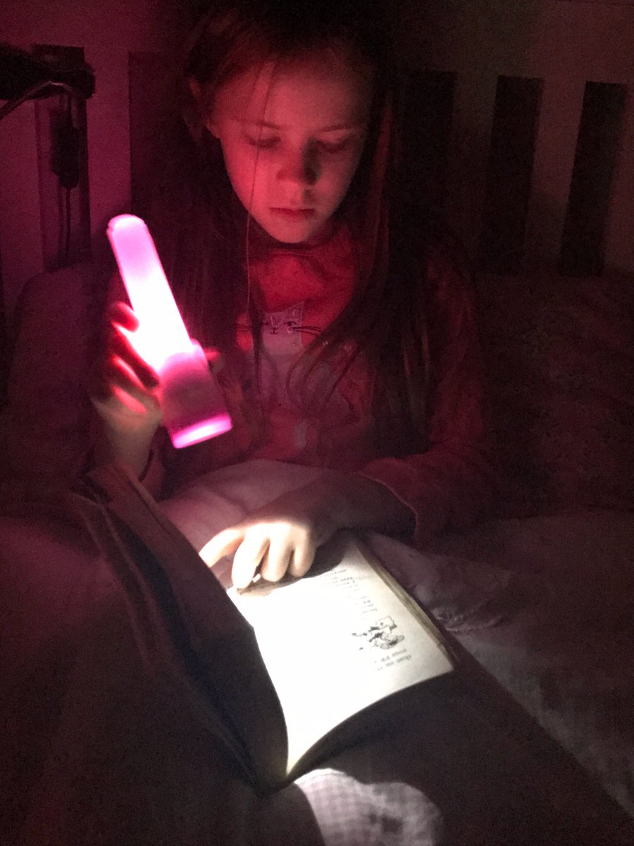 WBurghPrimary's tweet photo. Hannah completing her #BookDares reading with a sibling, reading by torchlight and playing eye spy. She also completed a #ExtremeReading challenge. Brilliant effort Hannah! #BookWeekScot #WillybugsRead https://t.co/fpVe24mjP9