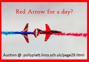 Pollyplatt Primary tweet media