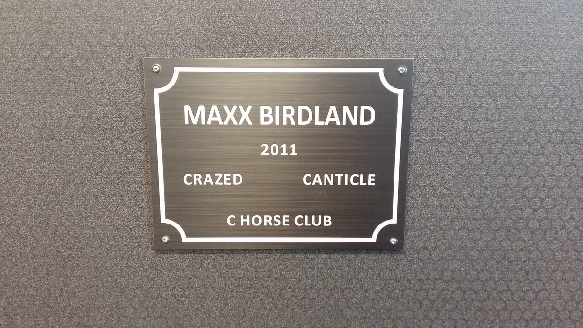 MaxxBirdland's tweet photo. Hevosilla pullat hyvin uunissa. Tänään vierailu sekä Plisetska Birdland #UtalaRacing että Maxx Birdland #SaloStable luona #ravit #ChorseClub https://t.co/hsyeO81PsJ
