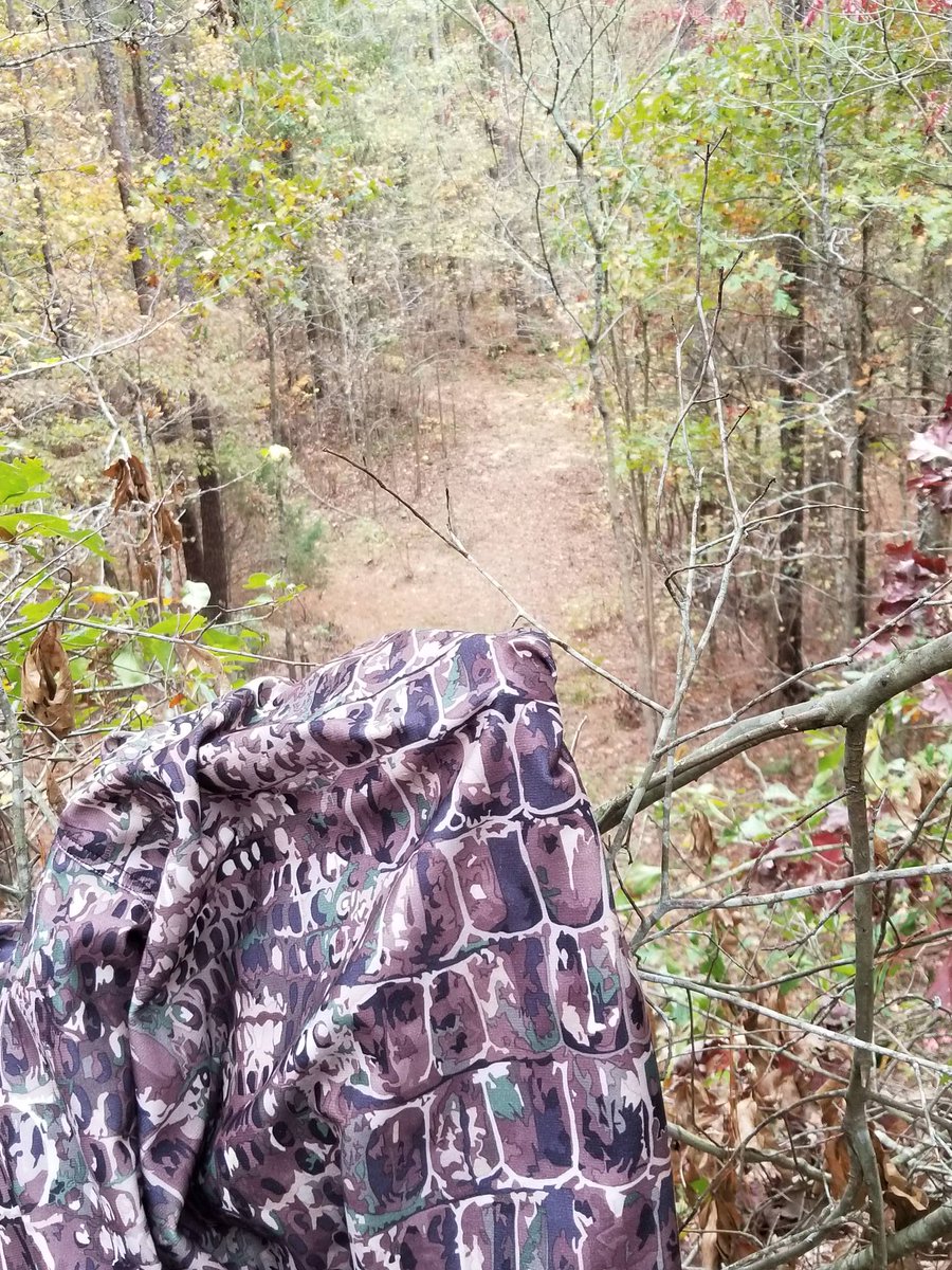 bullgatorcamo's tweet photo. Time for that evening hunt. #bullgator #bullgatorcamo #bullgatoroutfitters #bull #gator #faith #family #freedom #thegreatoutdoors #hunt #hunting #deer #deerhunting #buckfever #bigbuck #camping #tent #camp #guns #ammo #outdoors #treestand #hiking #camo #camouflage #ncbuck #ncdeer https://t.co/2N4kyO2qhz