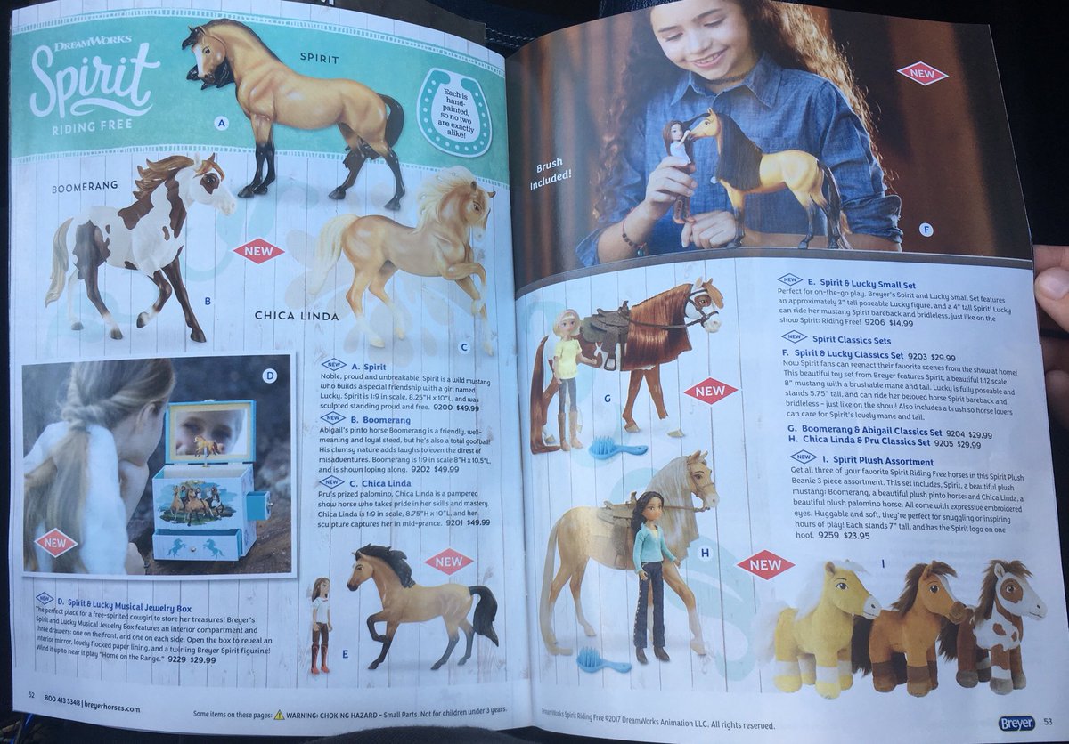 spirit riding free jewelry box