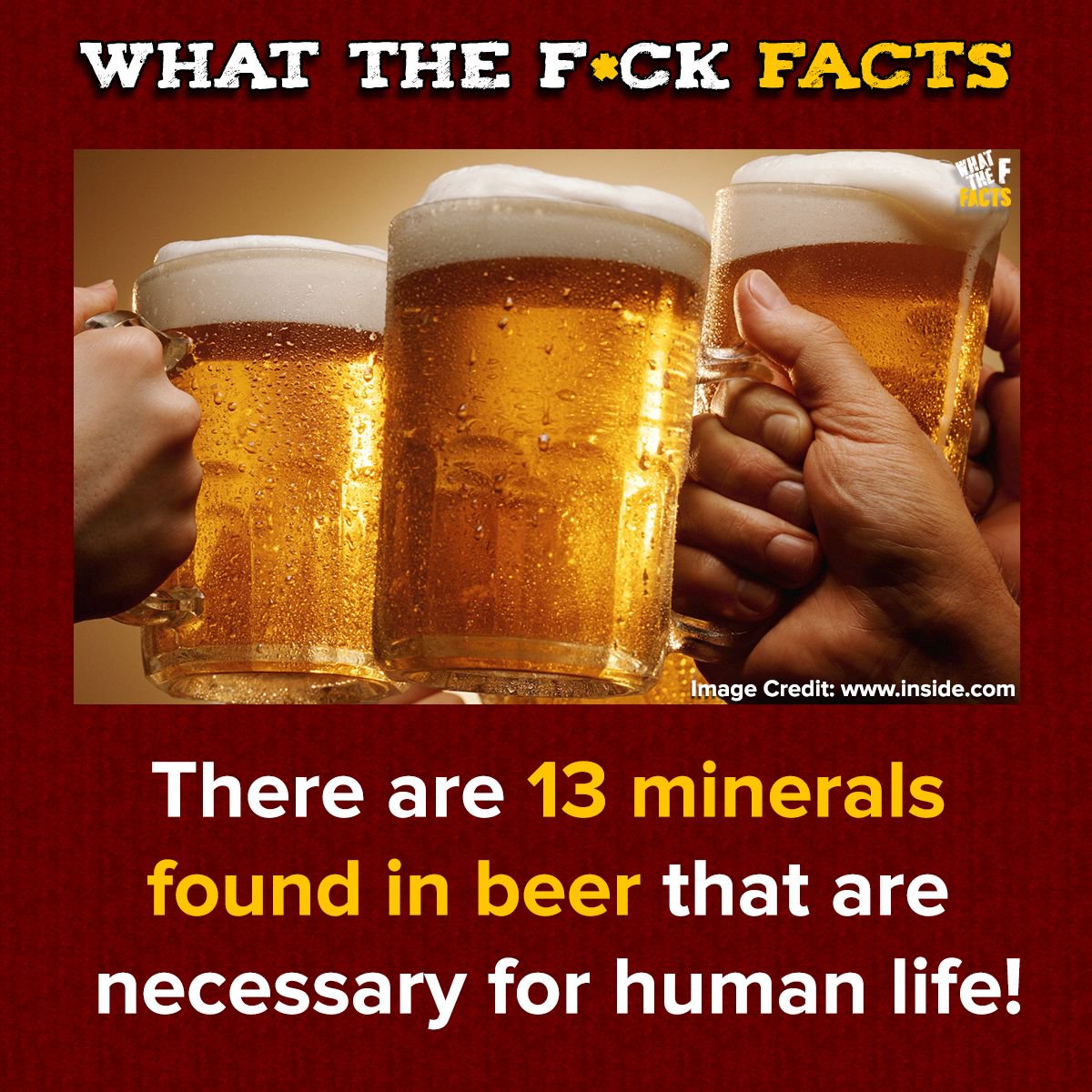WhatTheFFacts's tweet photo. https://t.co/zDVRoZaqXn