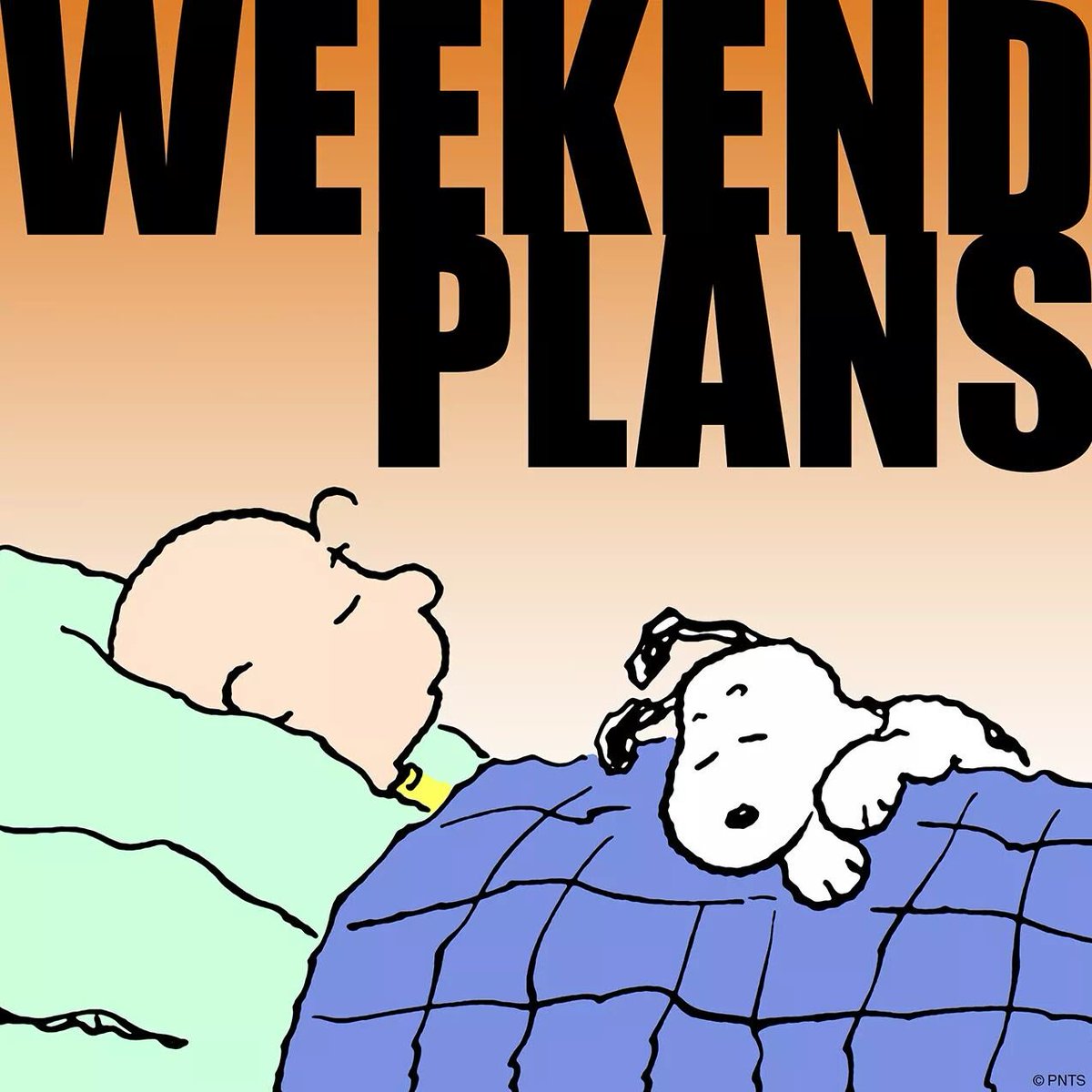 BSuhic's tweet photo. We have many ideas but this one is the most appealing! ๐
#WeekendCheer ๐๐ฒ๐ https://t.co/32I6OZEIWs