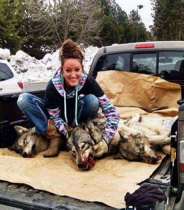 NAME &amp; SHAME!

Natalie Palmer killed these magnificent #Wolves, one of which was a mother, leaving her 4 pups as orphans.

Natalie is the daughter of #CecilTheLion's killer, Walter Palmer. Like Father, like daughter. What an ugly, pathetic family!

#KeepingItInTheFamily 😡.