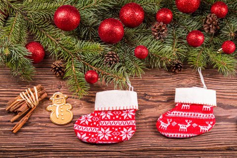 Rochester Topsoil tweet media