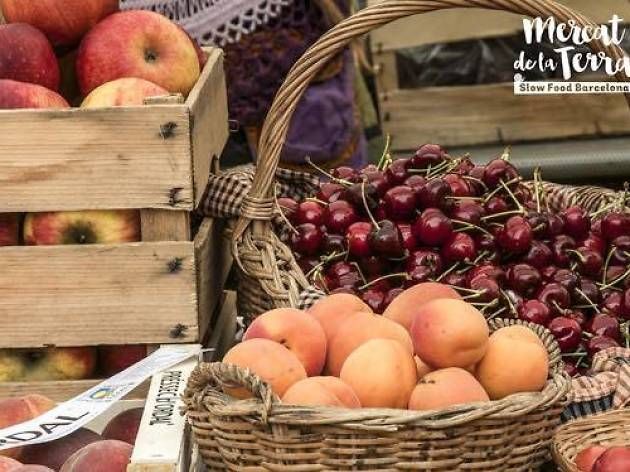 Barcelona GRATIS! Sortir sense gastar 🤑 timeout.cat/barcelona/ca/q…