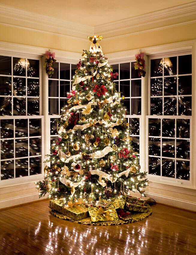 Brad__MRP's tweet photo. Trees up in the Mathias household #ChristmasIsComing @Claire__MRP https://t.co/ADZt0XytyG