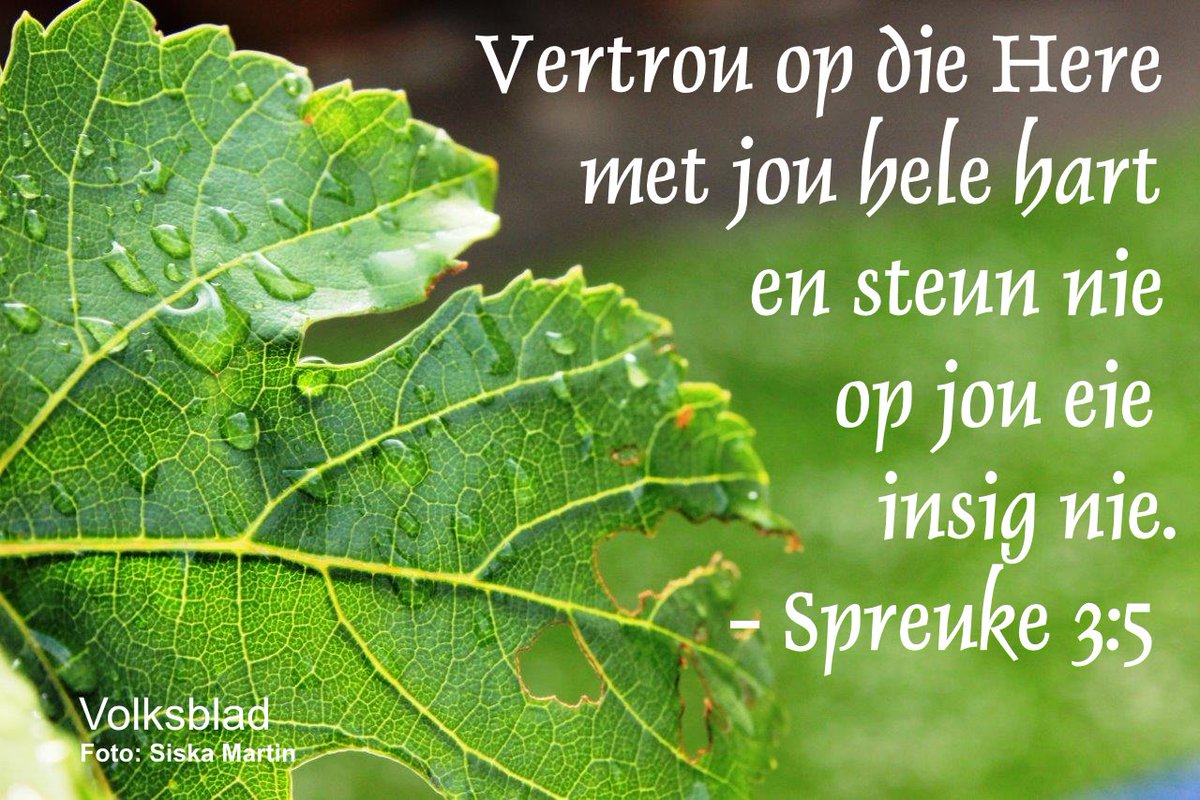 onbekendste1's tweet photo. #GedagteVirVandag
@Netwerk24 https://t.co/xzhqvSiIAj