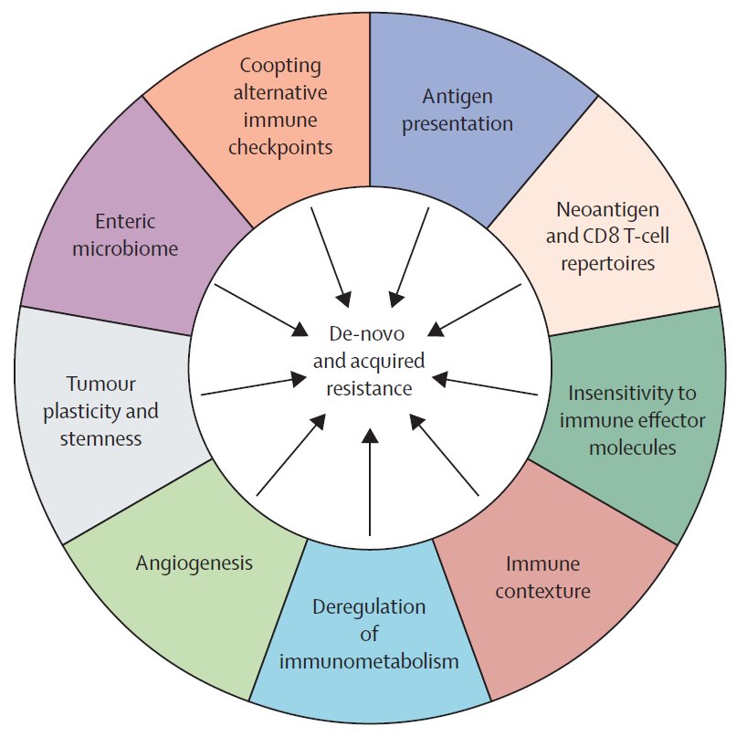 jsoriamd's tweet photo. Mechanisms of immune resistance
@TheLancetOncol 
https://t.co/4Ve1sHqRQ0 https://t.co/TyEOjZouLM