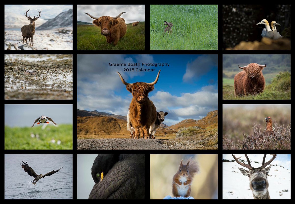 GraemeBoath1's tweet photo. 2018 Calendars now only £5 &amp; £2 UK p+p. Please DM to order. #calendar #christmas #offer #gift #wildlife #2018 #present #photooftheday https://t.co/MvA8fR1EtP