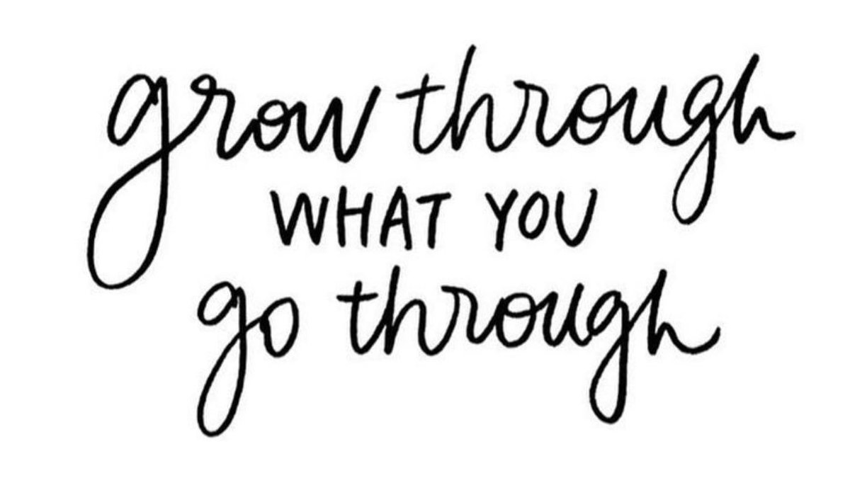 pliability tweet media