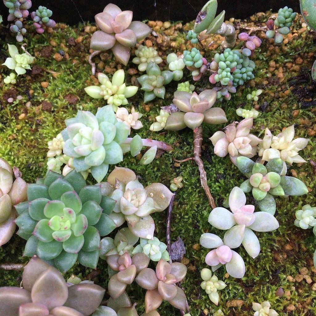 E8 B2 E6 90 E9 Twitter Search