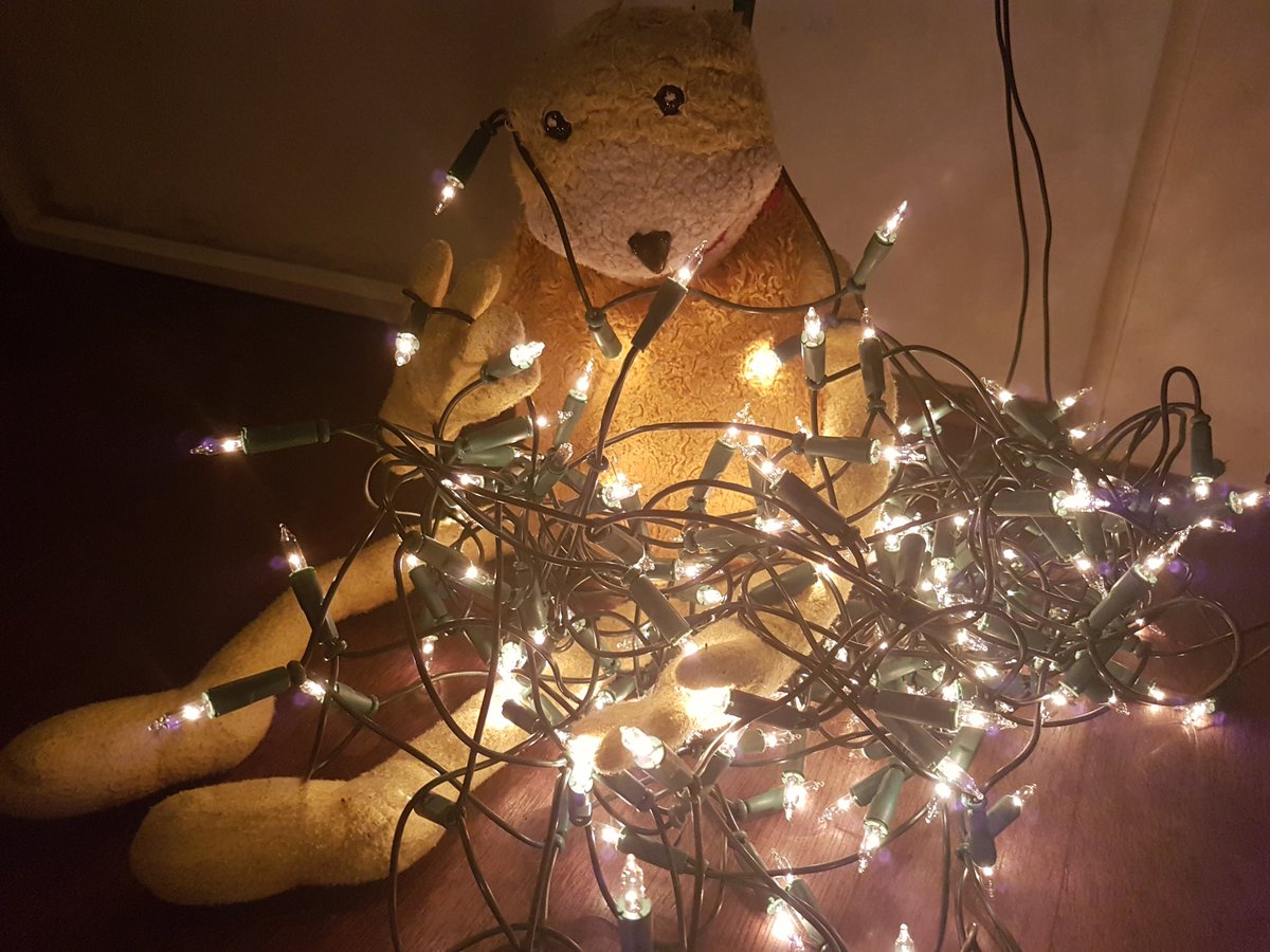 TheRealFlatEric's tweet photo. Oh dear! It's that time of year again...untangling Christmas lights. Flat Eric wonders why Christmas lights always come out of the box each year in a knotted mess. #ChristmasChallenge17 #lights #ChristmasCountdown #decorating #DecoratingDisaster #SantasToDoList #Frustration https://t.co/1EzAqUzzOY