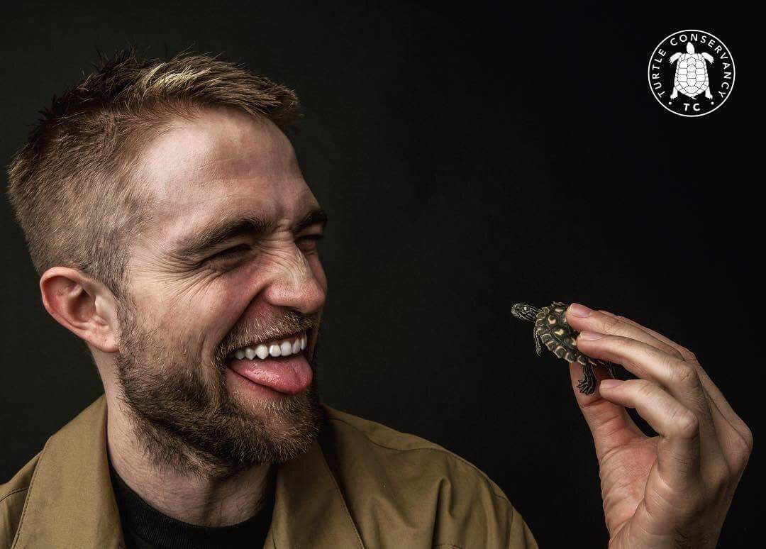 flying099's tweet image. LOVE RT @blondemel47: OMG!!! Too cute #RobertPattinson on #TurtleConservationist instagram.com/p/BcLNppkDOqV/