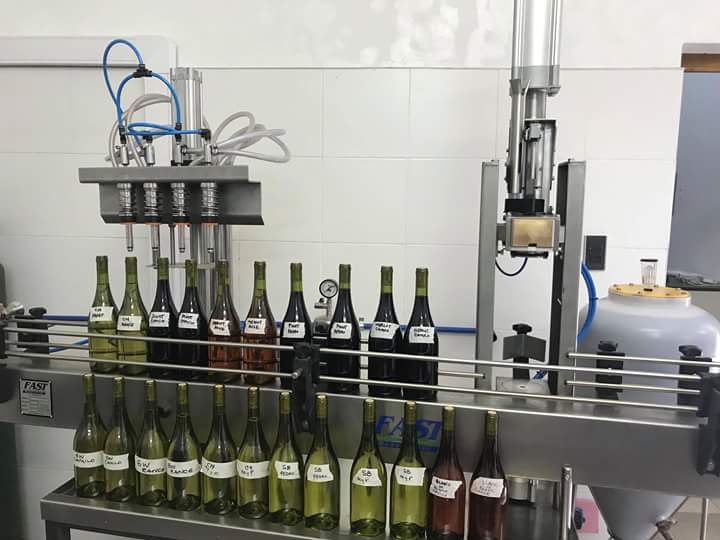 Viñedos Mas Austral tweet media