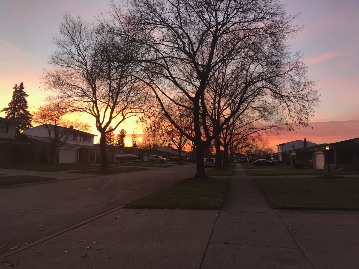 _melanieerin_'s tweet image. The sky and the sunset look so pretty #treesintheway