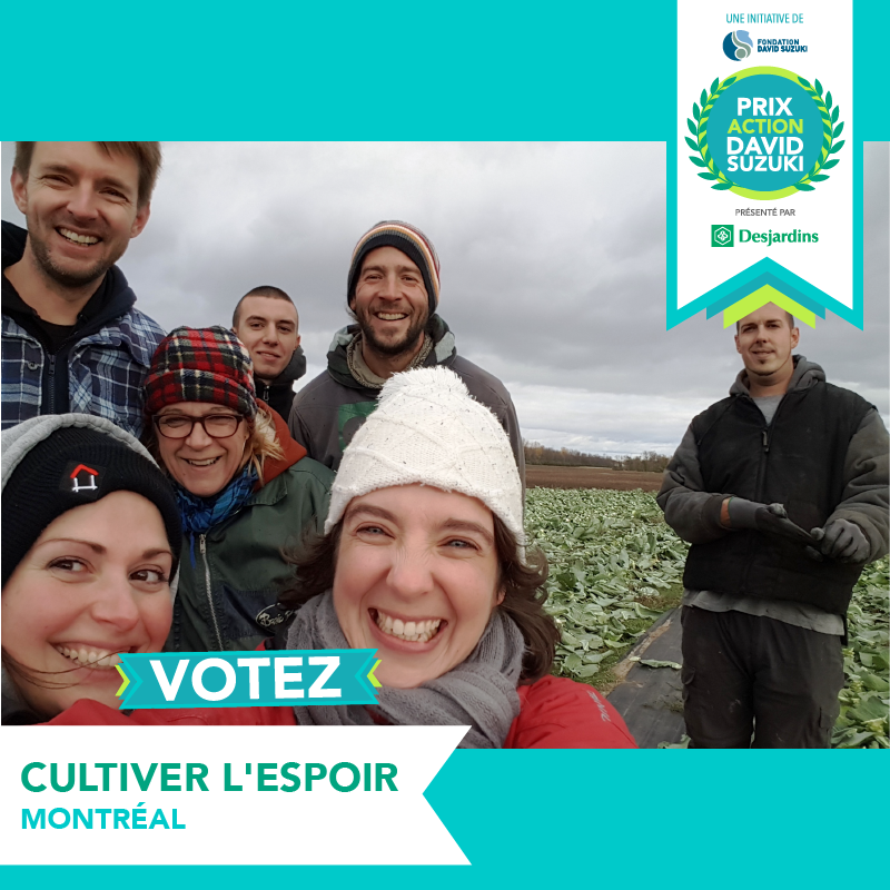 FondDavidSuzuki's tweet photo. Cultiver l’espoir : « à terme, le plus important projet d'agriculture urbaine #biologique au Canada, qui permet de nourrir des milliers de Montréalais dans le besoin. » Aidez-les à remporter le #PrixAction et 4000$ offerts par @Desjardinscoop ! ➡️ https://t.co/foMg2gf8zK https://t.co/XsIqgnCOu2