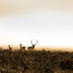 Photo by Roam Adventure (@Roam_Adventure)