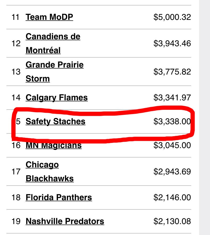 Really proud of my @Movember team this year and very grateful for all those who generously donated! #HockeyFightsCancer